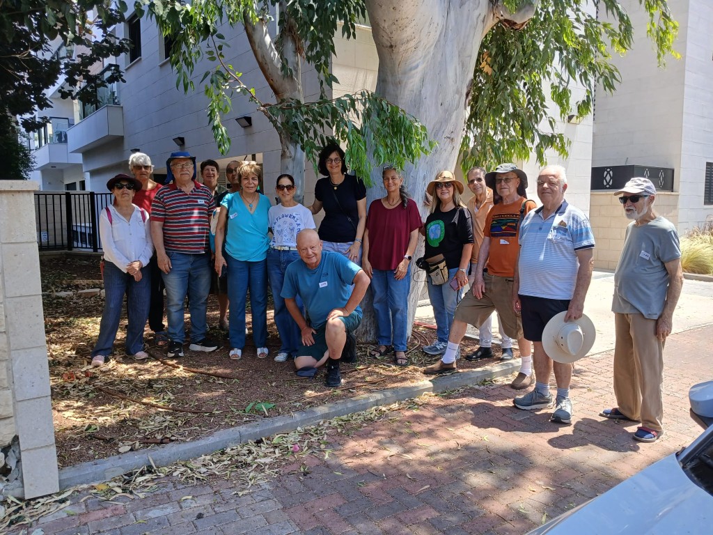 סיור לעורכי ויקיפדיה ליד עץ האקליפטוס העתיק שניצל מכריתה עקב מאבק אזרחי של נאמני העצים