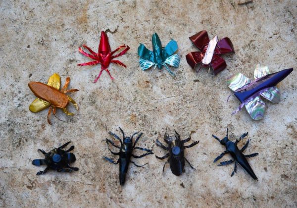 פיסול חרקים להגברת המודעות לשימור מגוון המינים בטבע