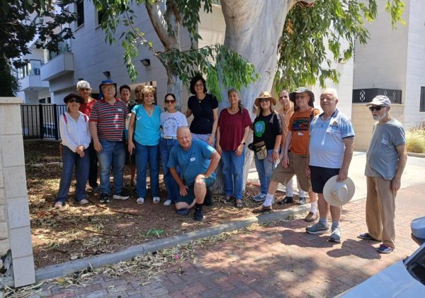 סיור "אלף מילים" ברעננה – מסע בין קהילה, שמירת טבע, אמנות אקולוגית ומאבק להצלת עצים