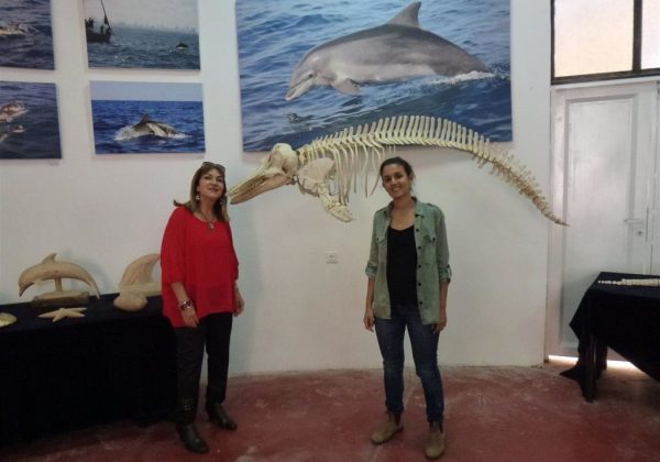 סיור חווייתי במרכז חקר ומידע ב"מרכז הדולפין והים" באשדוד